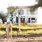 Granja Da Cabrita 4*