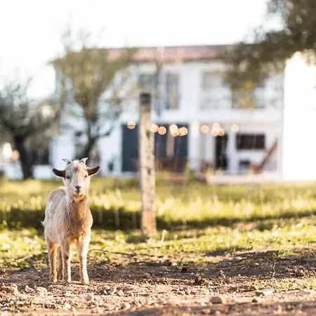 Granja Da Cabrita 2*