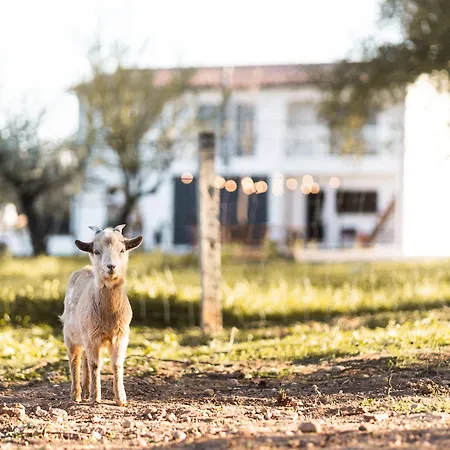 Granja Da Cabrita Отель типа 