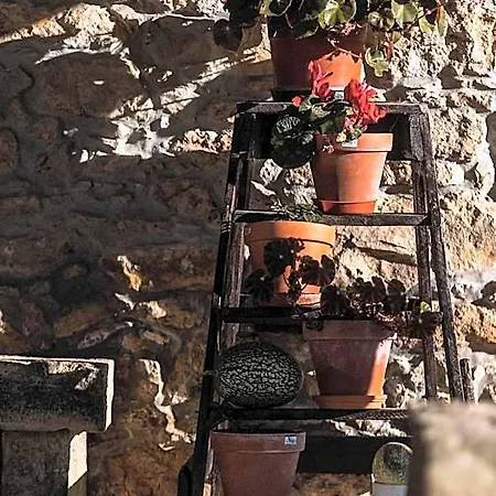 Frühstückspension Granja Da Cabrita Coimbra