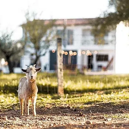 Granja Da Cabrita Bed & Breakfast 4*