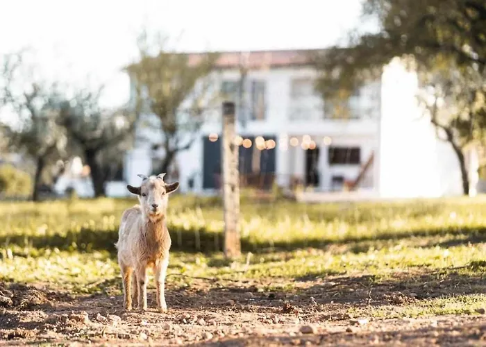 Granja Da Cabrita 4*