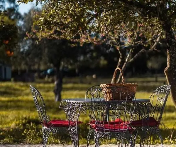 Granja Da Cabrita Bed & Breakfast Coimbra
