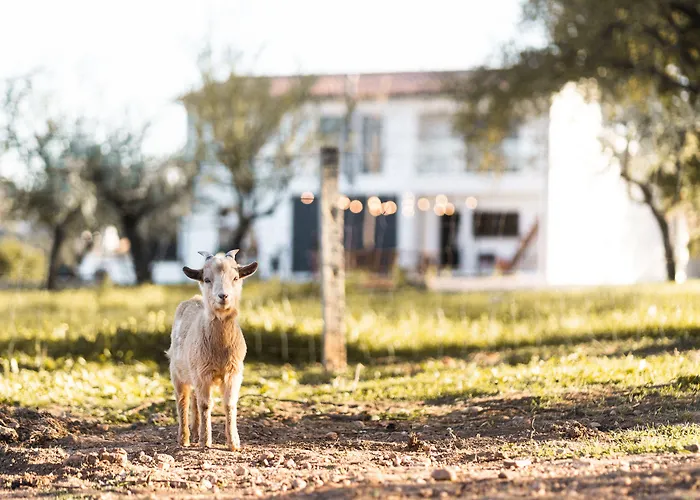 Granja Da Cabrita 住宿加早餐酒店